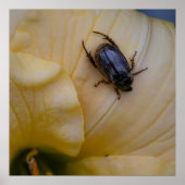 検索中 ポスター (正面)