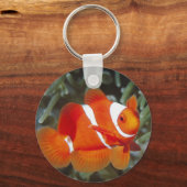 検索，ネモ キーホルダー (正面)