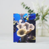 検索，ネモ ポストカード (スタンド正面)