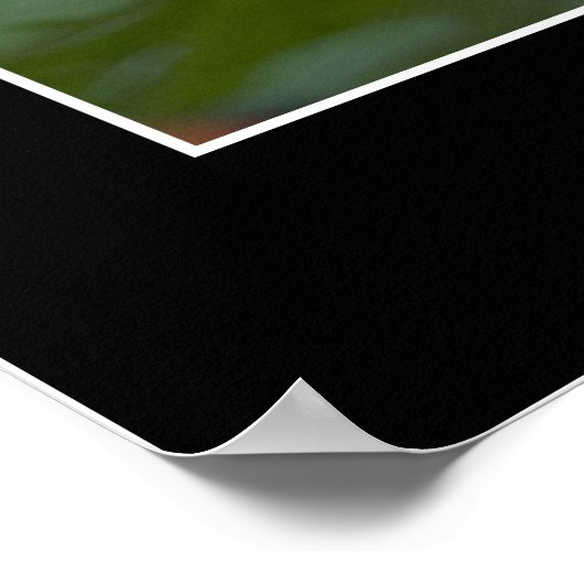 検索 ポスター (角)