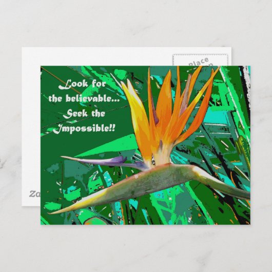 検索… ポストカード (正面/裏面)