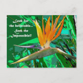 検索… ポストカード (正面)