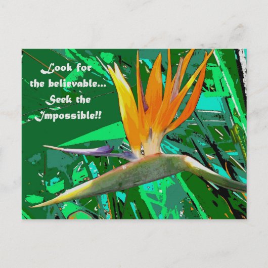 検索… ポストカード (正面)