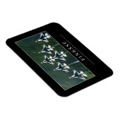 検索：感動的引用文 マグネット (右側)