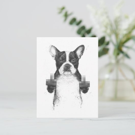 検閲された犬はがき ポストカード (スタンド正面)