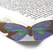 椰子と蝶々とデシデラタの詩 ポスター (角)