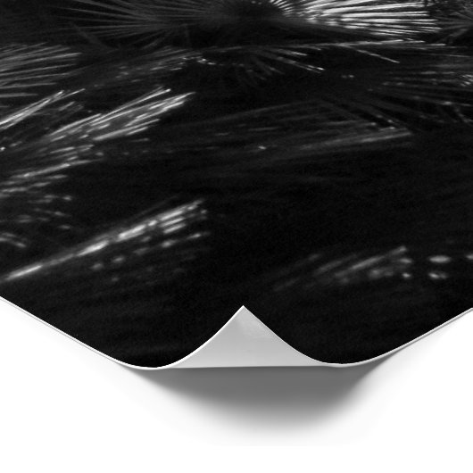 椰子の木々が守る ポスター (角)