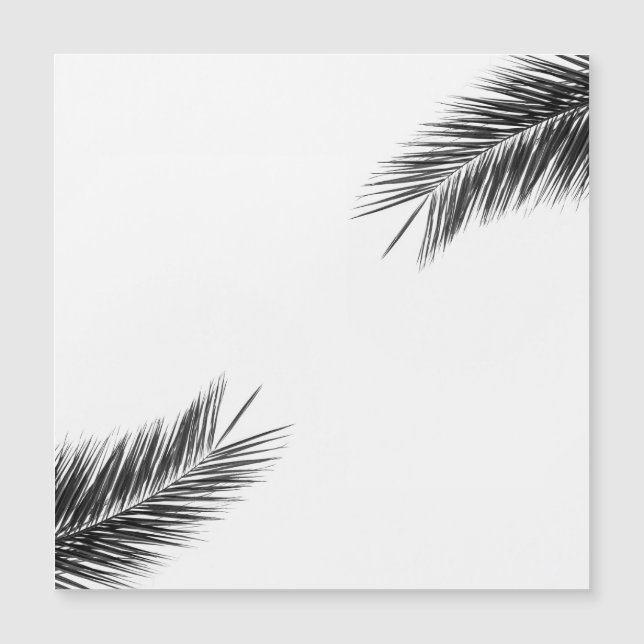 椰子木の枝 (正面)