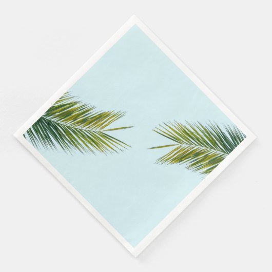 椰子木の枝 (コーナー)