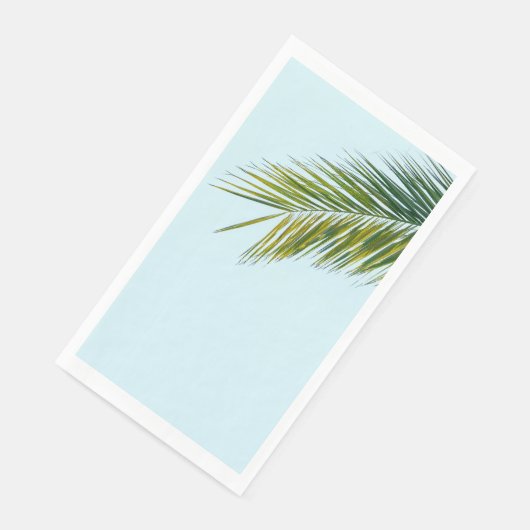 椰子木の枝 (コーナー)