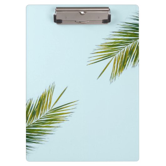 椰子木の枝 クリップボード (正面)