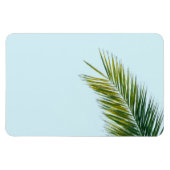 椰子木の枝 マグネット (横)