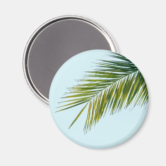 椰子木の枝 マグネット (正面/裏面)