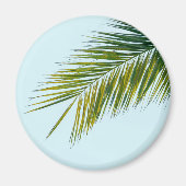 椰子木の枝 マグネット (正面)