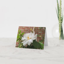 椿のカード（無地)