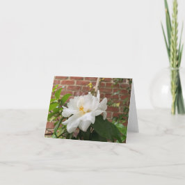 椿のカード（無地) シーズンカード