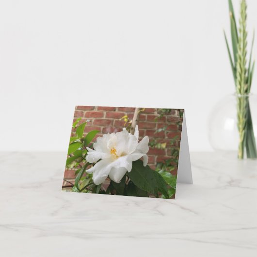 椿のカード（白） シーズンカード (正面)