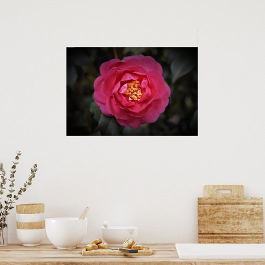 椿 ポスター (キッチン)