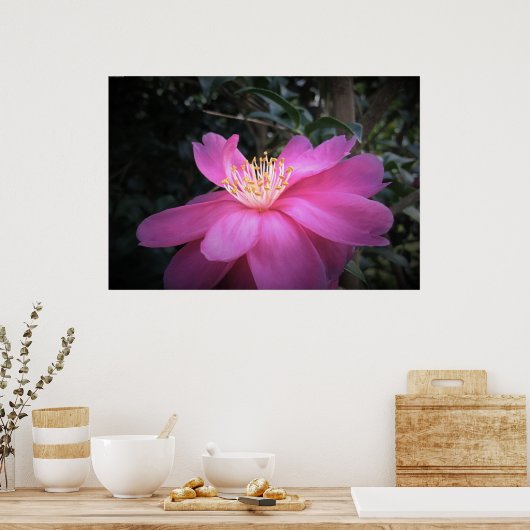 椿 ポスター (キッチン)