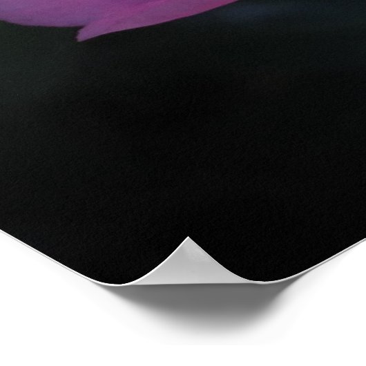 椿 ポスター (角)