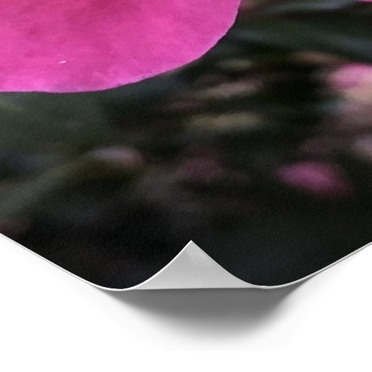 椿 ポスター (角)