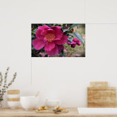 椿 ポスター (キッチン)