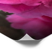 椿 ポスター (角)