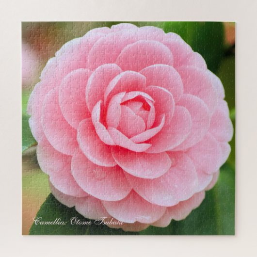 椿：乙女椿[角ジグソーパズル] ジグソーパズル (縦)