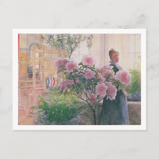 椿、1906 （水彩画、紙に描く） ポストカード (正面)