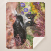 楓の木の下で休む可愛い黒白ネコ –  シェルパブランケット (正面)