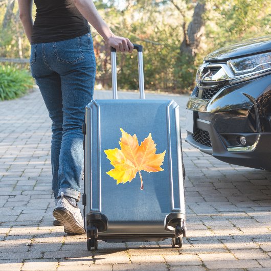 楓の紅葉 シール (スーツケースインサイチュ)