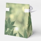 楓の葉越しの太陽の光に感謝 フェイバーボックス (裏面サイド)