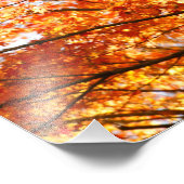 楓の葉 フォトプリント            (角)