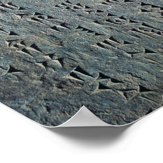 楔形文字 ポスター (角)