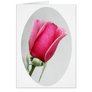 楕円形に上がりました