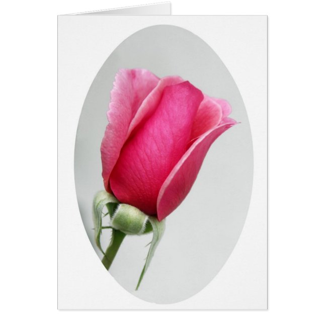 楕円形に上がりました (正面)