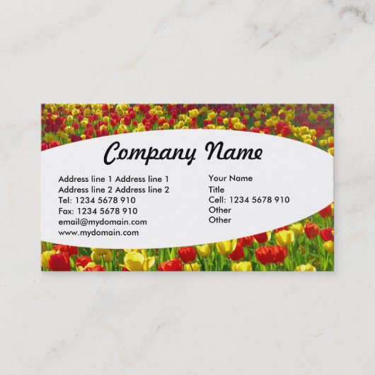 楕円形 – チューリップ海 名刺 (正面)