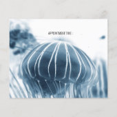 業務用フライヤー：クラゲ チラシ (裏面)