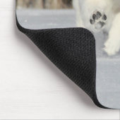 極のパピー写真 マウスパッド (コーナー)