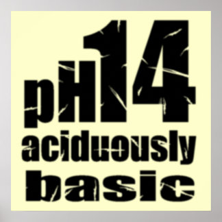 極めて基本的なポカスタマイズスター ポスター