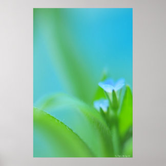 極めて小さな完璧 ポスター