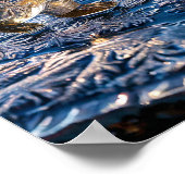 極凍ってい熊 ポスター (角)