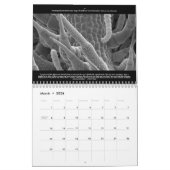 極小の世界カレンダー カレンダー (3月 2026)