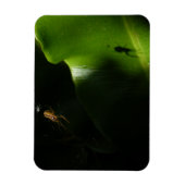 極小スパイダーフォトマグネット マグネット (縦)