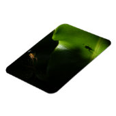 極小スパイダーフォトマグネット マグネット (左側)