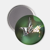 極小ゼブラ磁石 マグネット (正面/裏面)