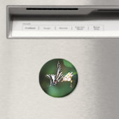 極小ゼブラ磁石 マグネット (インサイチュ (食洗機))