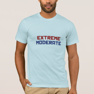 極度で適当なTシャツ Tシャツ