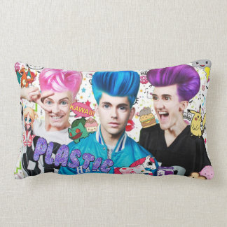 極度のかわいいのプラスチッククッション ランバークッション