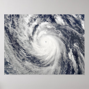 極度の台風Lupit ポスター